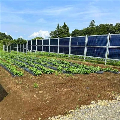 Montaje vertical de panel solar
