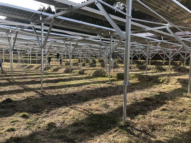 Solar Farm Mounting System